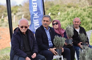 Gemlik Belediyesi Lavanta Bahçesi Kuruyor